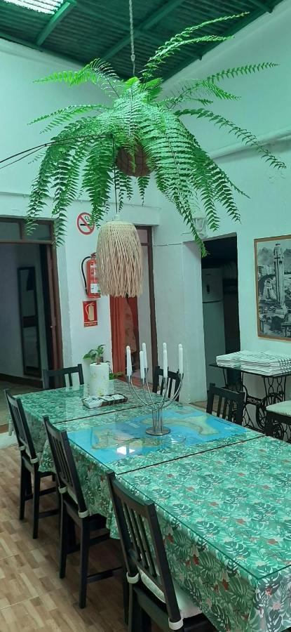 Vivienda Vacacional Sabinosa المظهر الخارجي الصورة