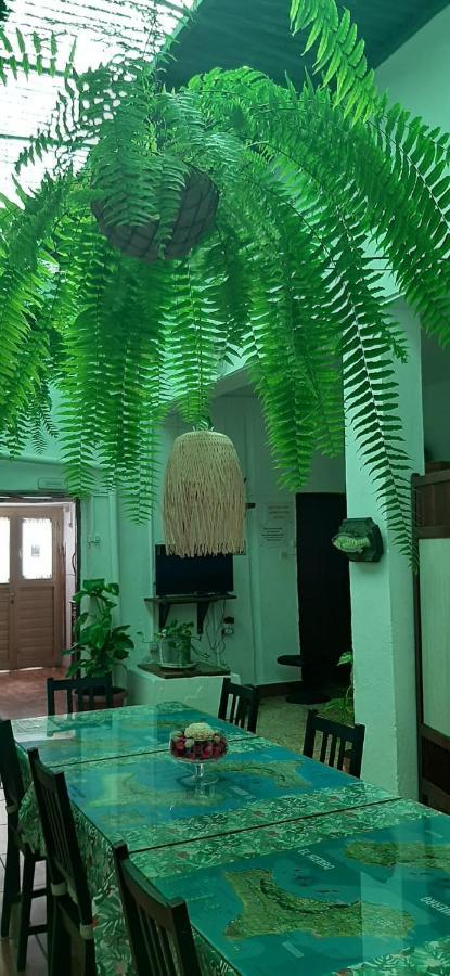 Vivienda Vacacional Sabinosa المظهر الخارجي الصورة